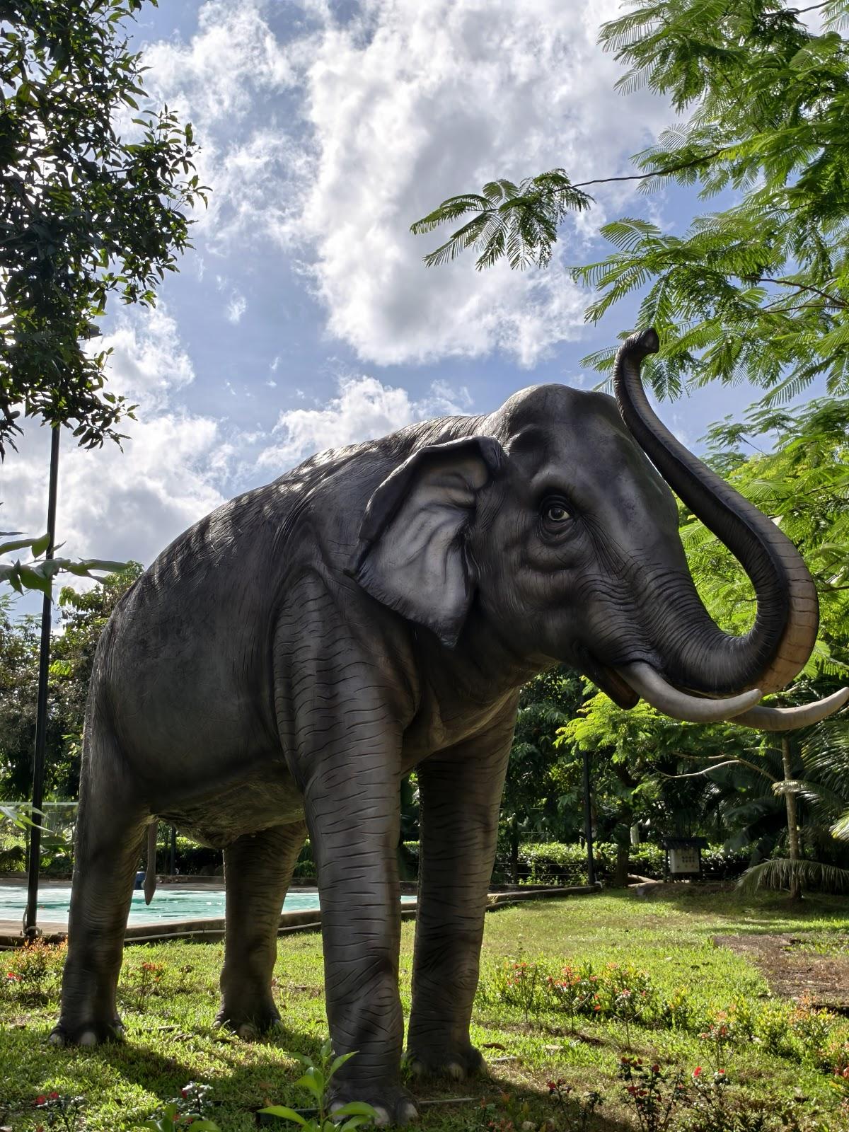Vaani Greens Kaziranga Wildlife Resort